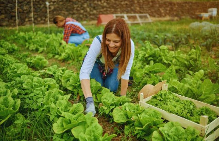 Agroindustrial